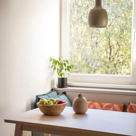 Warm Embrace Novi Sad