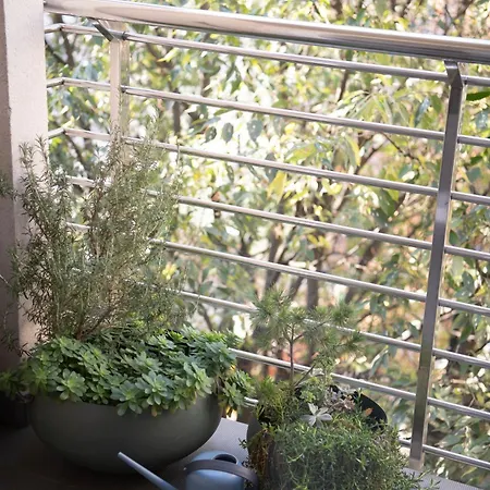 Warm Embrace Apartmán